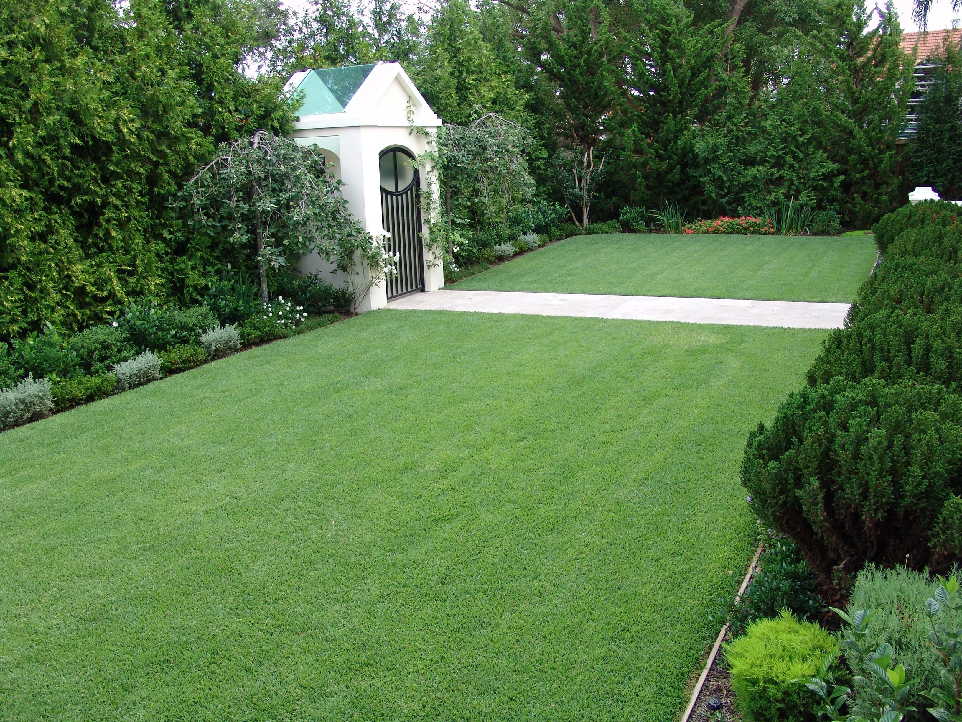 Zoysia Turf Grass Lawn 5 – Lawn Block Turf Drive Thru