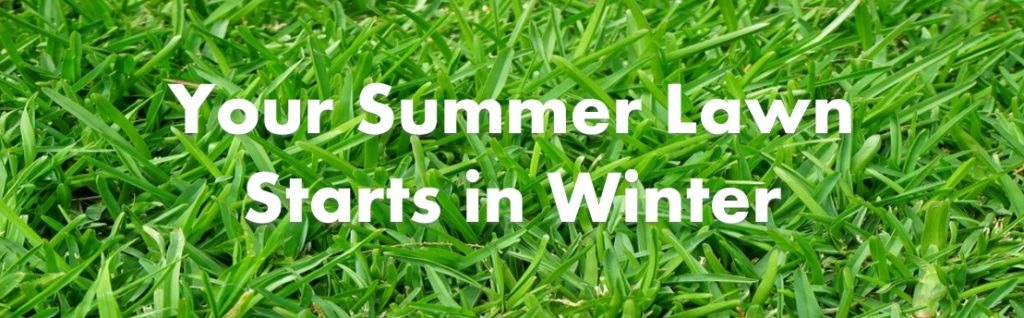 Your Summer Lawn Starts in Winter 2