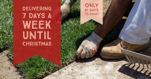 Delivering Turf Grass 7 Days A Week Until Xmas