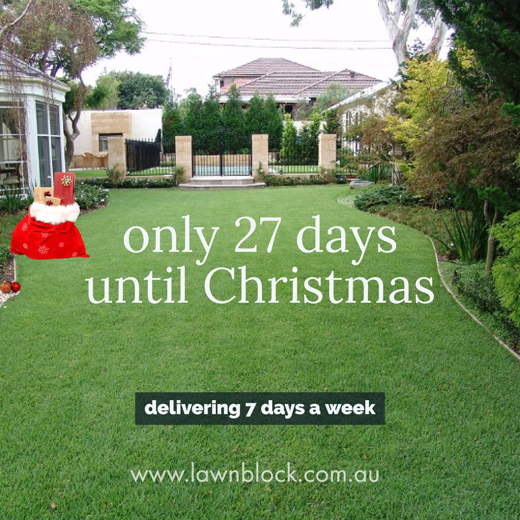 Only 27 Days Until Christmas Lawn Block