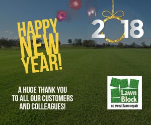 Happy New Year From Lawn Block