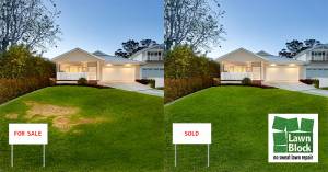 Lawn Block Lawn Repair Before And After for Sale Sold