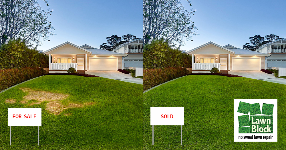 Lawn Block Lawn Repair Before And After for Sale Sold