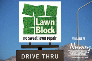 Lawn Block Drive Thru Premium Lawn Turf