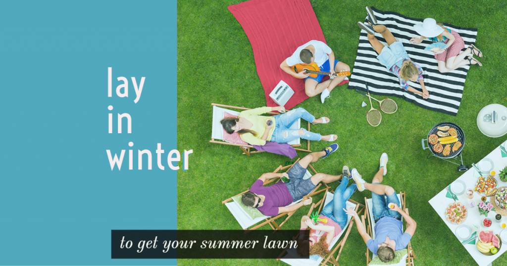 Lay in Winter to get your Summer lawn