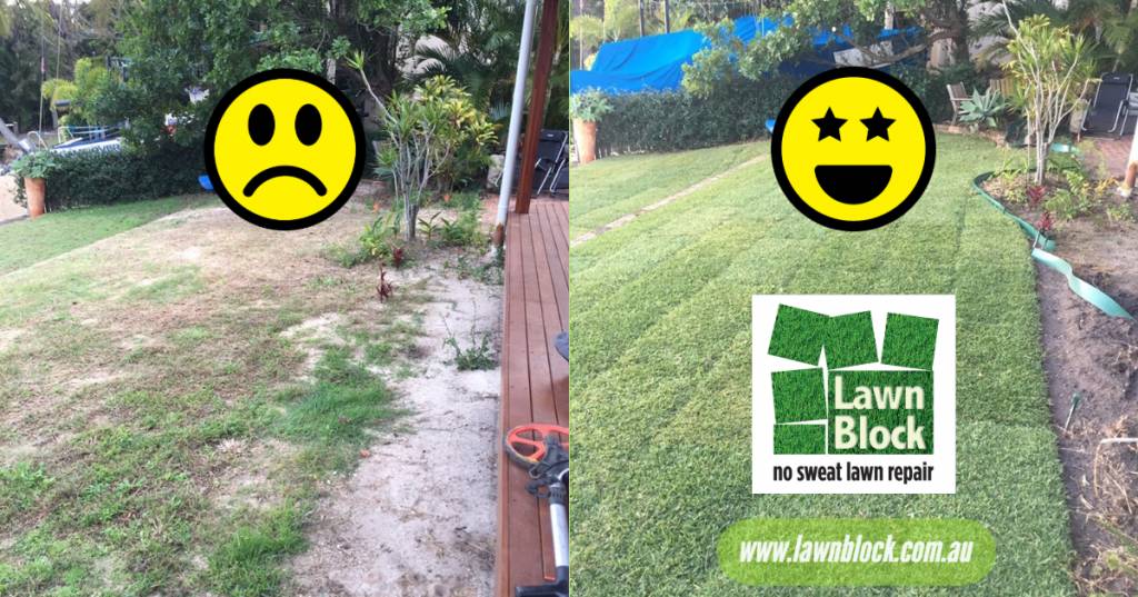 Lawn Block Lawn Repair Emojis