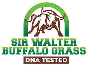 Sir Walter Buffalo Grass DNA Tested Logo Lawn Block