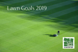 Lawn Goals 2019 Lawn Block