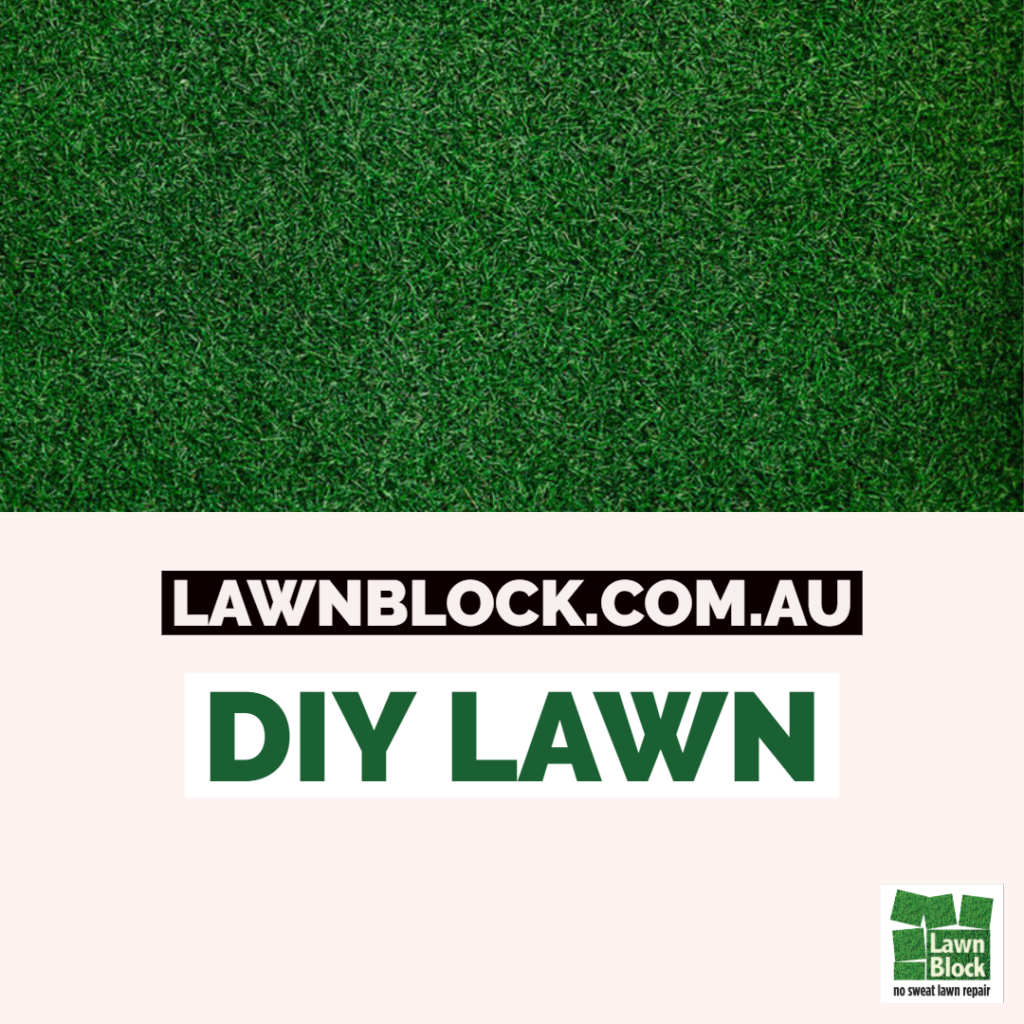 Lawn Block DIY Lawn