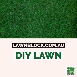 Lawn Block DIY Lawn