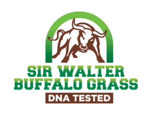 Sir-Walter-Buffalo-Grass-Logo Lawn Block