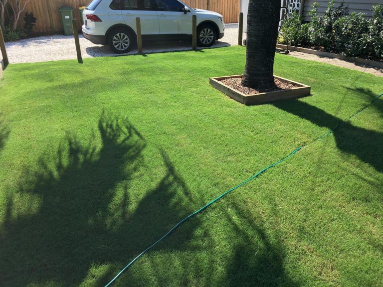 Wintergreen Couch Grass Brisbane Gold Coast Lawn Block Turf