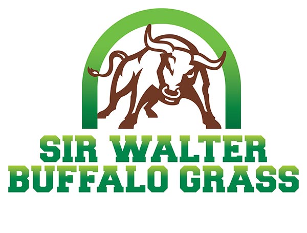 Sir-Walter-Buffalo-Grass-Logo-Lawn Block