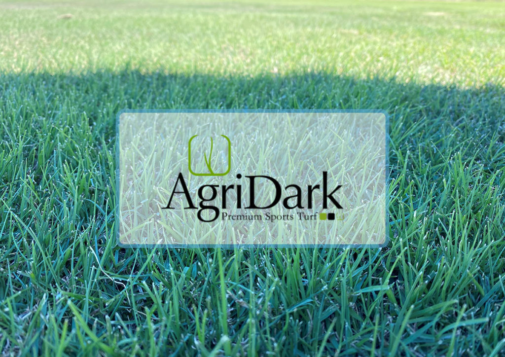 AgriDark-Premium-Sports-Turf-2408-1e-Lawn-Block