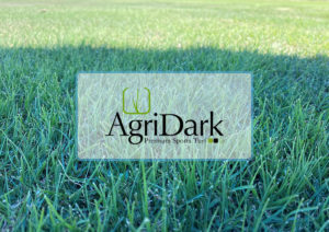 AgriDark-Premium-Sports-Turf-2408-1e-Lawn-Block