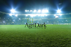 AgriDark-Premium-Sports-Turf-Lawn-Block-Turf