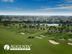 August-Zoysia-Grass-Lawn-Turf-Golf-Course-Lawn-Block-2