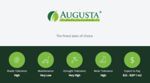 Augusta Zoysia 1611 Features Benefits Lawn Block