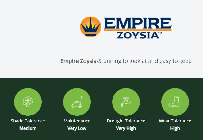 Empire Zoysia Turf Features