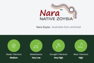 Nara-Native-Zoysia-Lawn-benefits-Lawn-Block-Turf-2