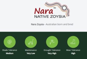 Nara-Native-Zoysia-Lawn-benefits-Lawn-Block-Turf