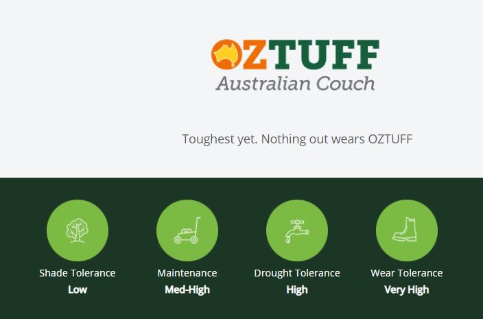 Oz Tuff Australian Couch Turf Features