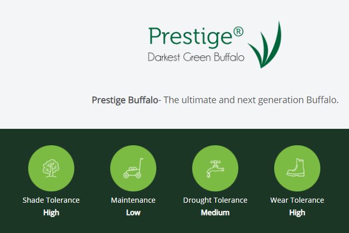 Prestige Darkest Green Buffalo Turf Features