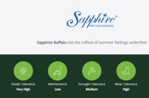 Sapphire-Soft-Leaf-Buffalo-Grass-Features-2-Lawn-Block-Turf