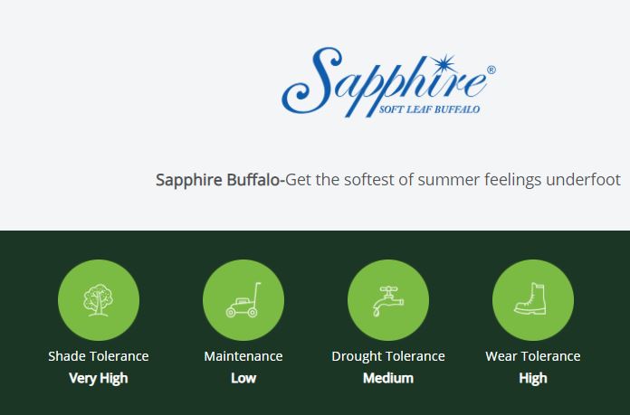 Sapphire Soft Leaf Buffalo Turf Features