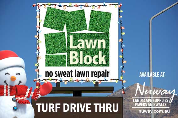 Lawn-Block-Drive-Thru-Premium-Lawn-Turf-e3-Christmas