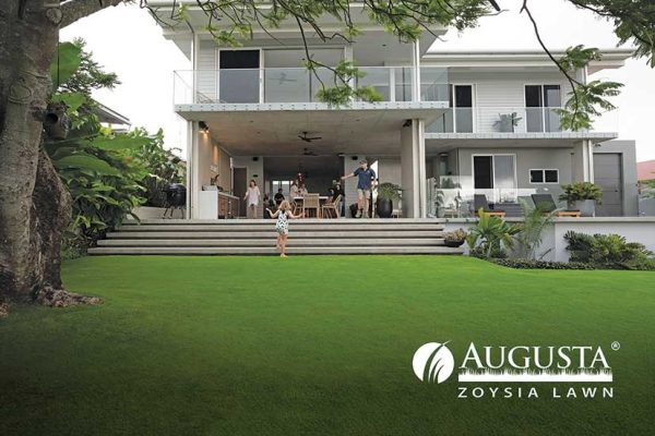 Augusta-Zoysia-Lawn-12-Lawn-Block-Turf-w.jpg