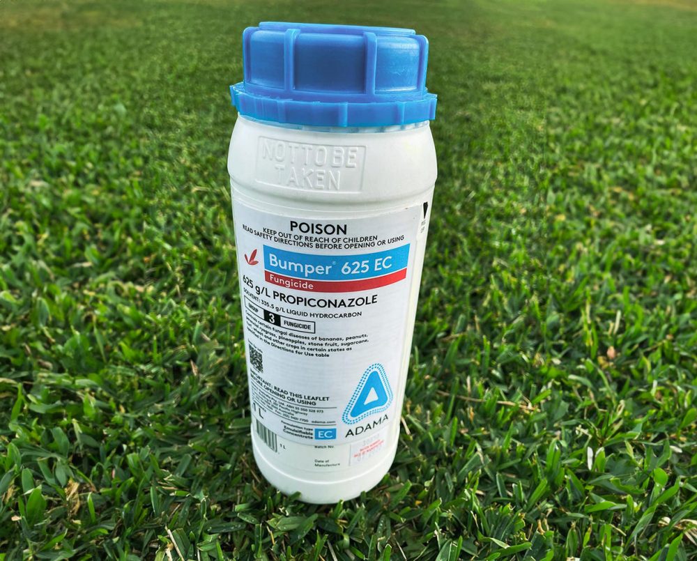 Bumper-625-EC-Lawn-Turf-Grass-Fungicide-1-Litre-Lawn Block Turf Brisbane