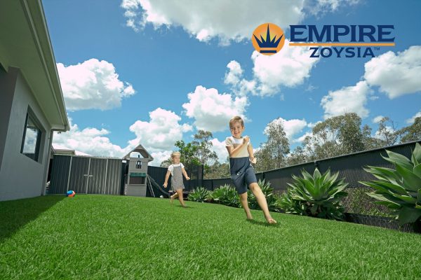 Empire-Zoysia-lawn-11-Lawn Block Turf Brisbane