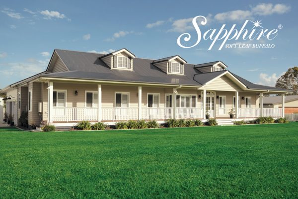 Sapphire-Soft-Leaf-Buffalo-Lawn-Turf-Grass-16-w-Lawn-Block-Turf.jpg