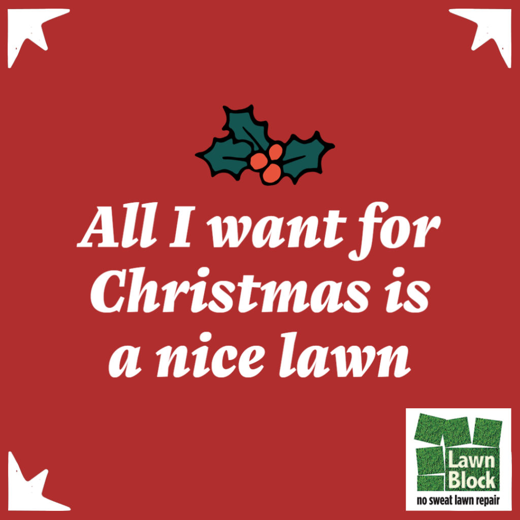Lawn Block All I Want For Christmas