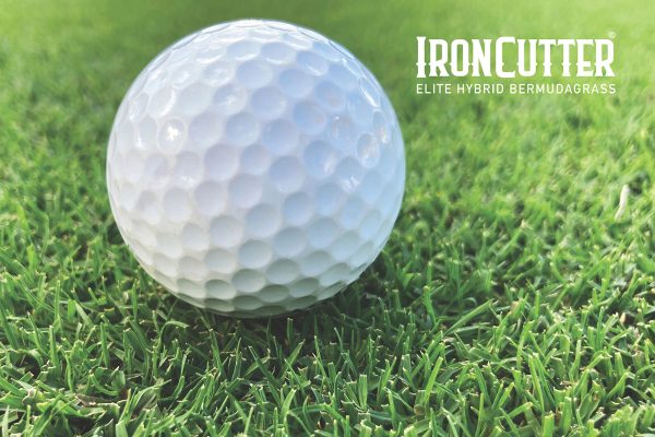 IronCutter-Elite-Hybrid-Bermudagrass_003_with_logo_web-Lawn Block Lawn Grass